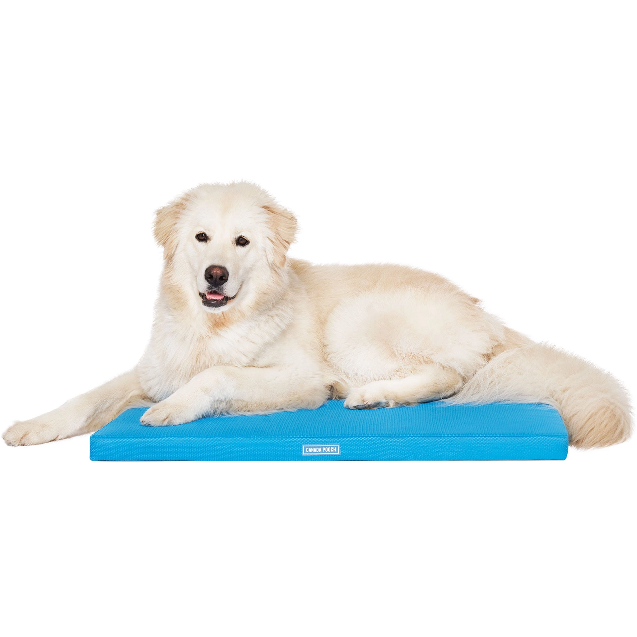 Canada Pooch Chill Out Cooling Mat Blue Dog Beds