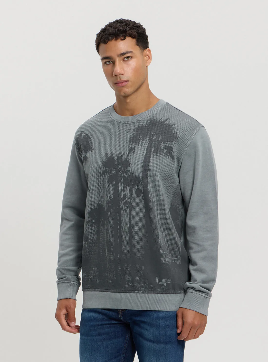 Eco Grey Palm Jumper