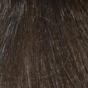 Maya Wig by Envy | Synthetic (Lace Front Mono Top)