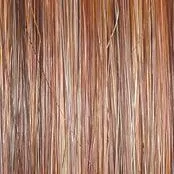 Model Mode Wig by Raquel Welch | Mono Part