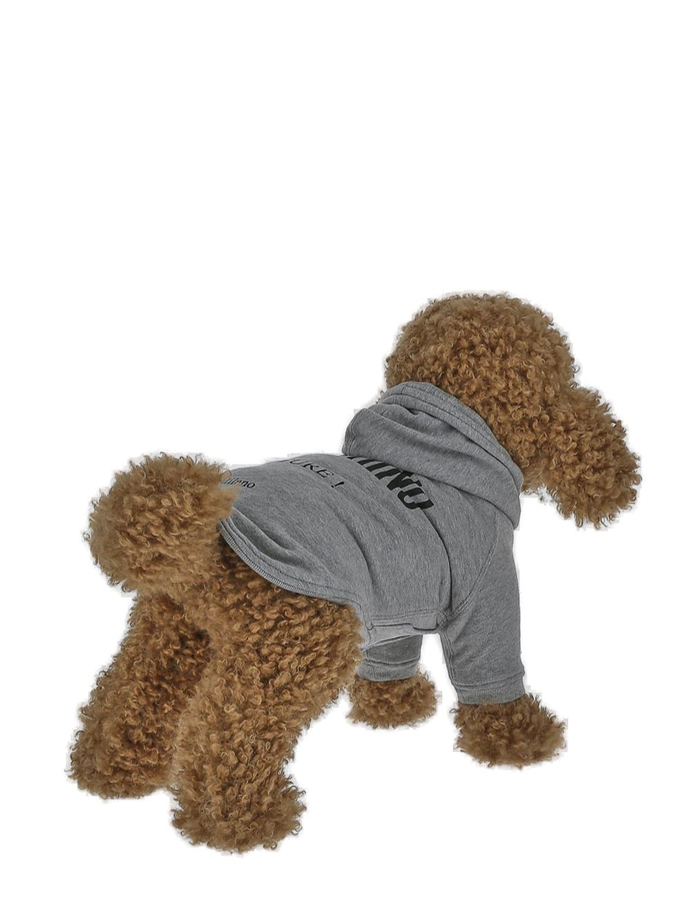 Moschino Logo Printed Dog Hoodie