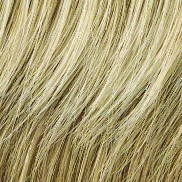 Power Wig by Raquel Welch | Synthetic (Traditional Cap)