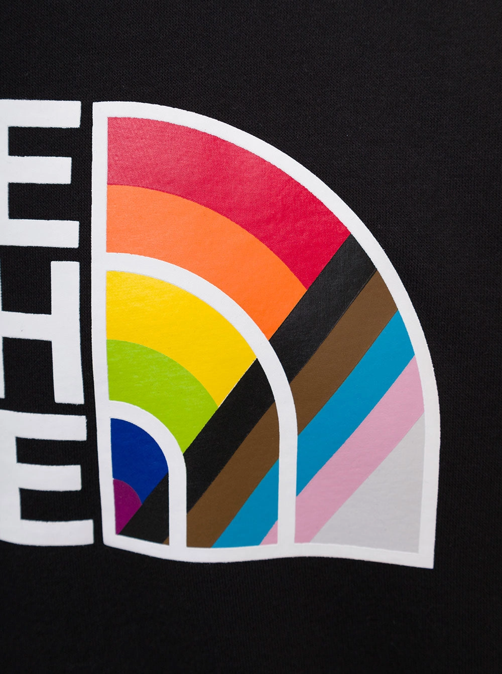 The North Face Pride Logo Printed Hoodie
